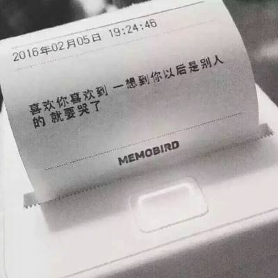 wiz alice游戏汉化版